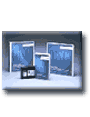 DiSC &reg; Management Strategies Trainer's Kit